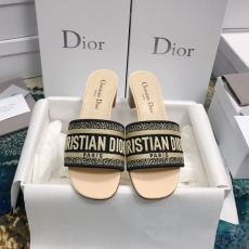 Christian Dior Slippers